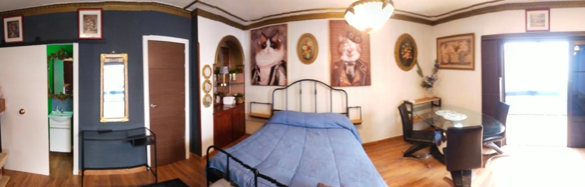 Апартаменты Guajara Loft-Balcon Сан-Кристобаль-де-Ла-Лагуна Номер фото
